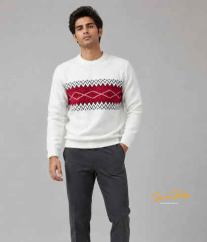 HETESHE AUREN Knit Sweater for Men | 100% Hair Nylon Anti-Pilling Winter Pullover | Full Sleeve Round Neck Jacquard Self Design | Regular Fit